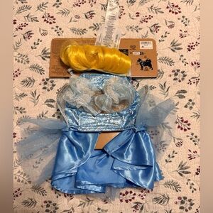Disney Cinderella Princess Dog Costume